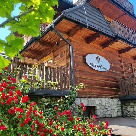 Willa Antalowka Zakopane Exteriör bild