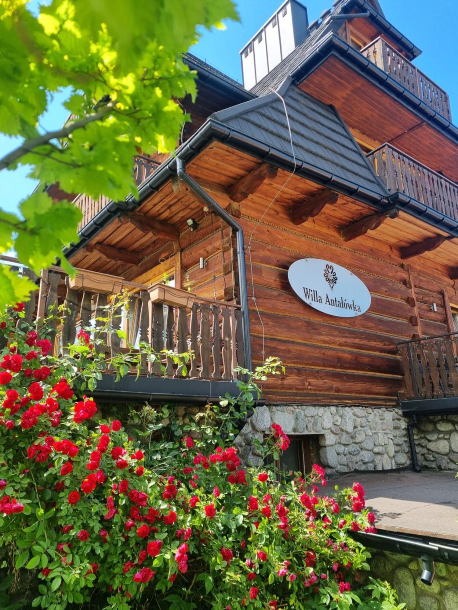 Willa Antalowka Zakopane Exteriör bild